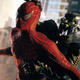 Spider-man fighting green goblin.